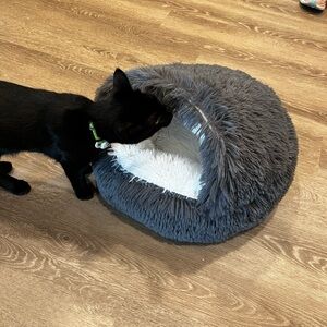Brand New Gray Cave Cat Bed
